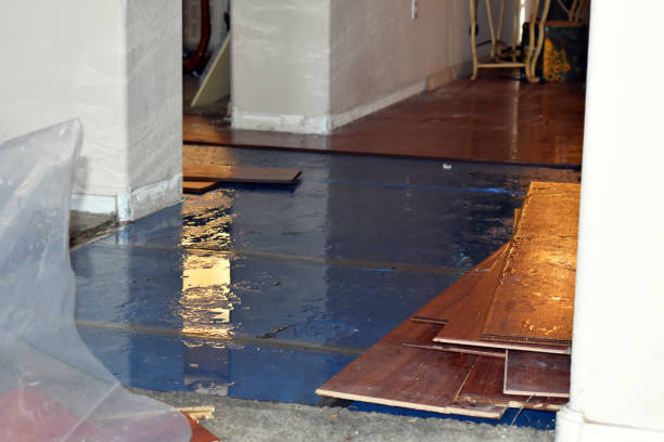 Professional Water Damage Restoration technician working in Hamilton, TX